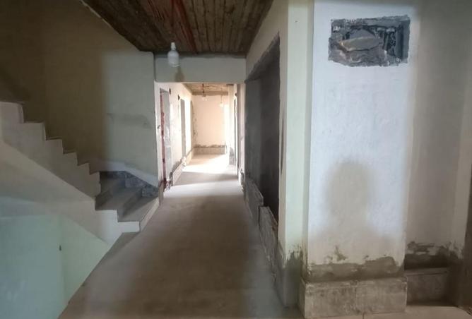 81057527 - Property Image 2