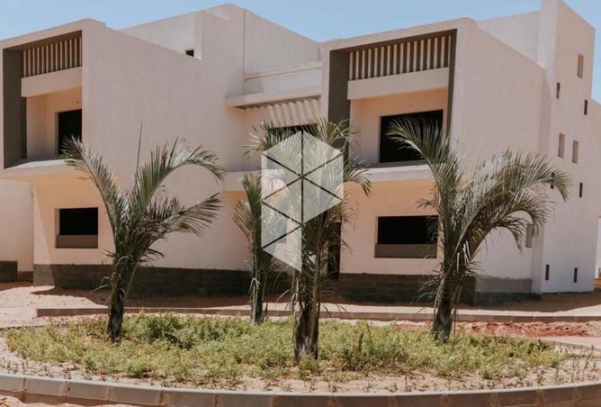 54233805 - Property Image 3