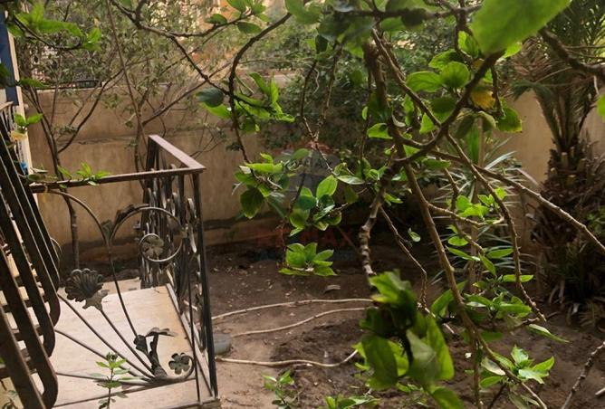 58741781 - صورة العقار 2