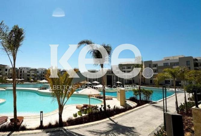 103188544 - Property Image 3