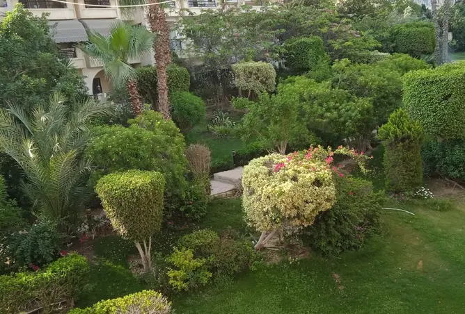 116230246 - صورة العقار 2