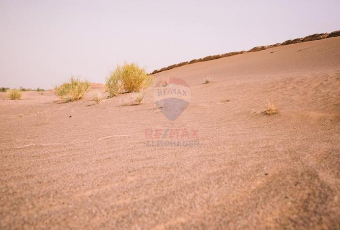95482058 - صورة العقار 3
