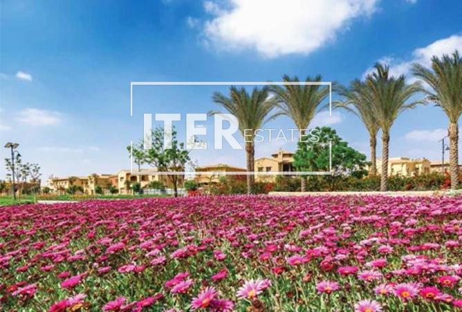 8427833 - Property Image 3