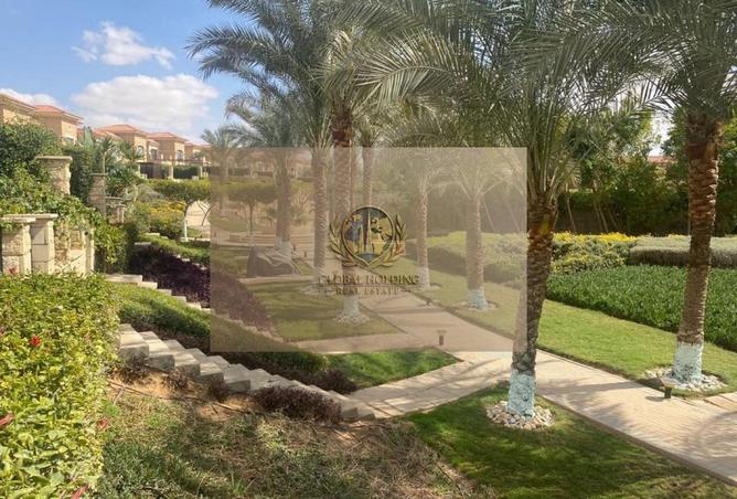 54748883 - Property Image 2