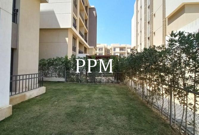 71133629 - Property Image 3