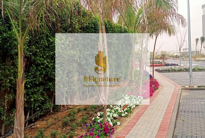 99114150 - صورة العقار 3