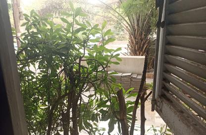 Office Space - Studio - 2 for rent in Al Sayed Al Marghany St. - Almazah - Heliopolis - Masr El Gedida - Cairo