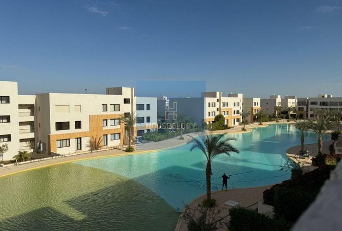 55509922 - صورة العقار 2