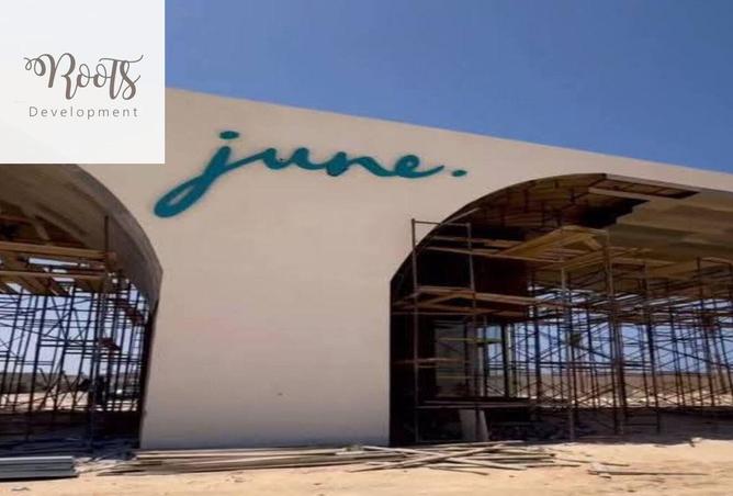 8584874 - Property Image 3