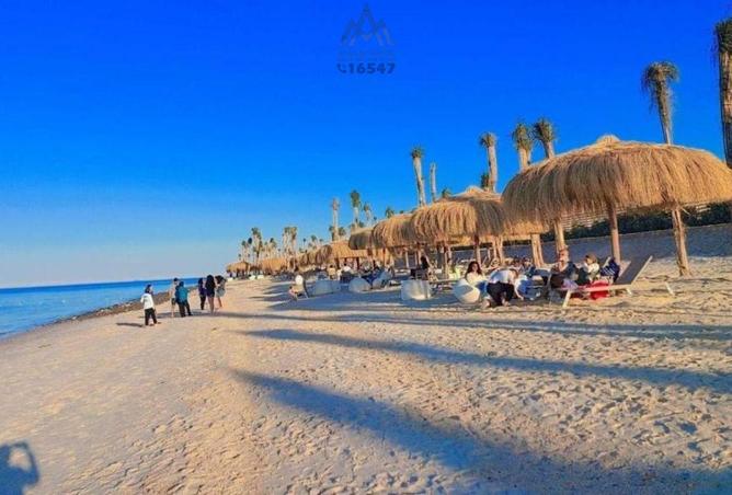 8662014 - صورة العقار 2