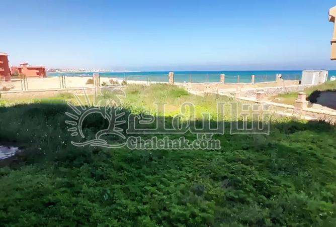 59741881 - Property Main Image