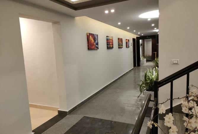 52970050 - Property Image 3