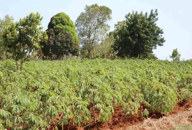 8517707 - صورة العقار 3