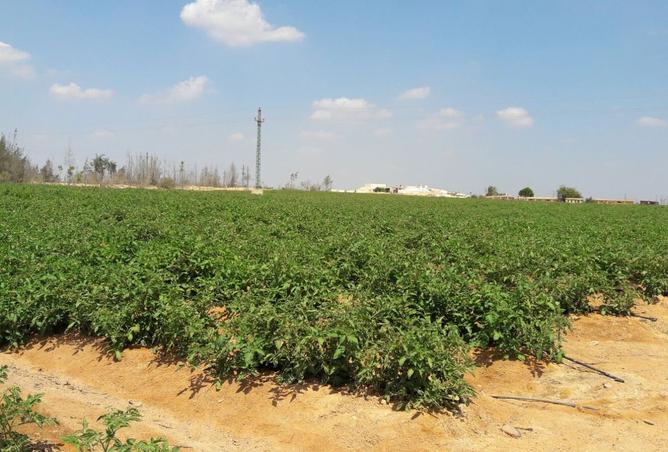 8517707 - الصورة الرئيسية للعقار