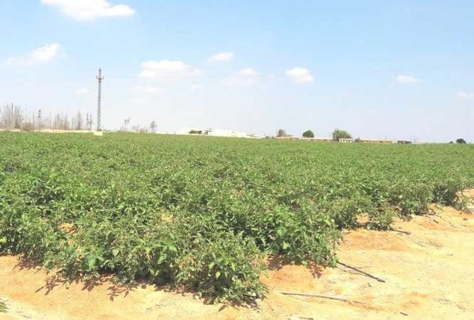 8517707 - صورة العقار 2