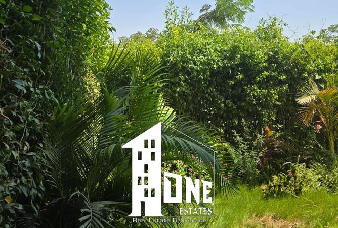 66436558 - صورة العقار 3