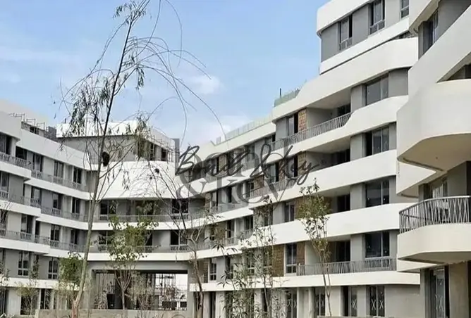 103767162 - Property Image 3