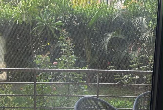 101487313 - صورة العقار 2