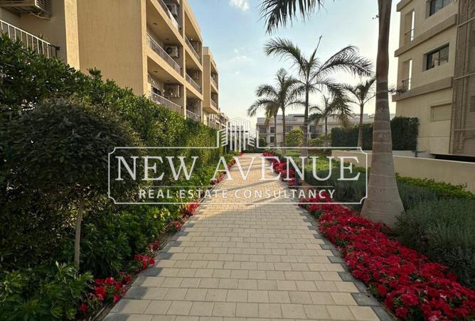 66699600 - صورة العقار 3