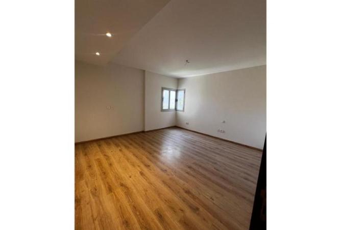 87504851 - Property Image 2