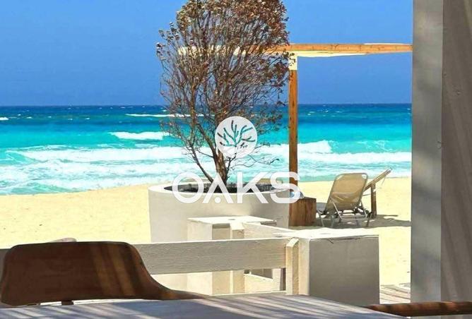 101495909 - Property Image 3