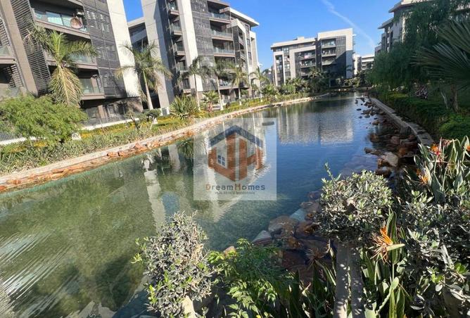 8412504 - صورة العقار 3