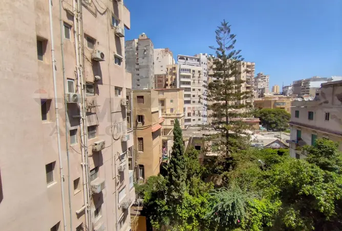 109916032 - Property Image 2