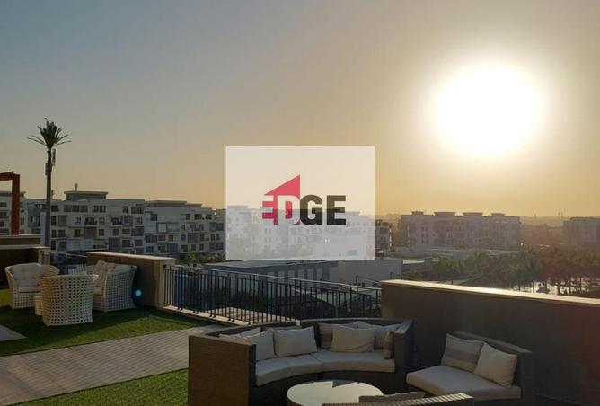 56001993 - Property Image 3