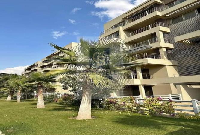 52455127 - صورة العقار 3