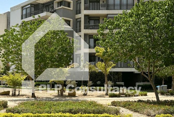 91859099 - Property Image 3