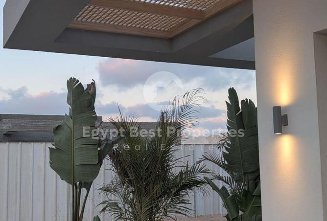 101499313 - صورة العقار 3