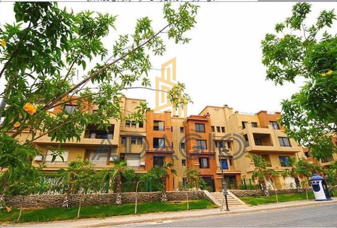 66427779 - Property Image 3