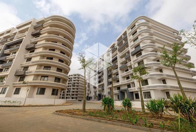 91296147 - صورة العقار 2
