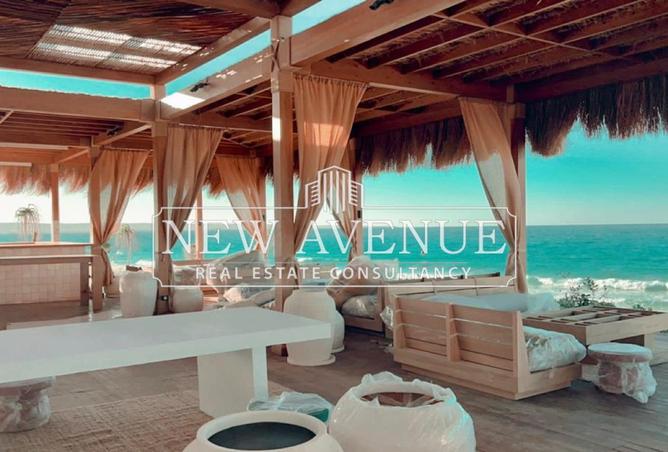 54498191 - صورة العقار 3