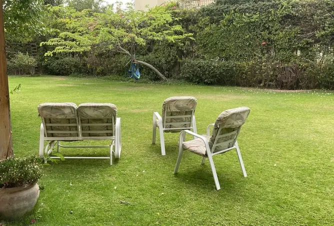 113801002 - صورة العقار 3