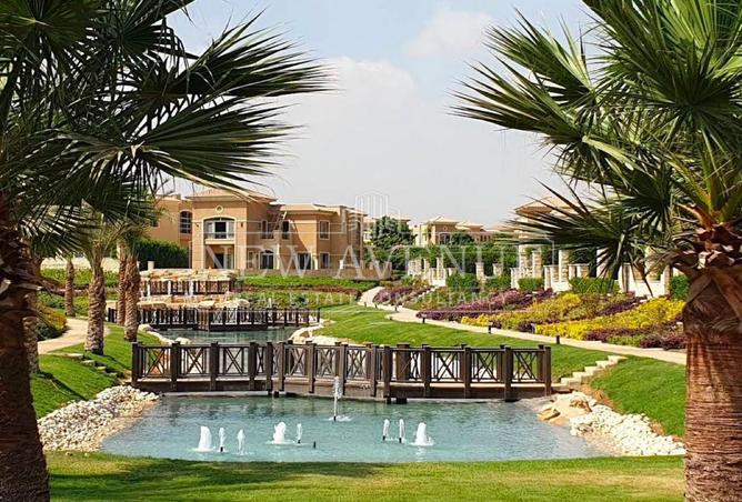 81828506 - صورة العقار 3