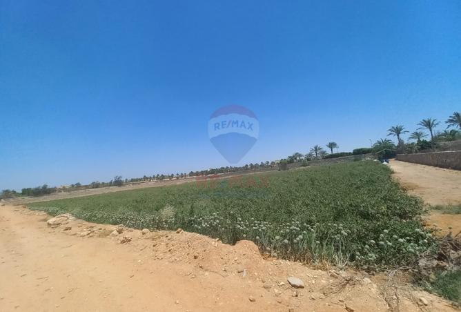 68785782 - صورة العقار 2