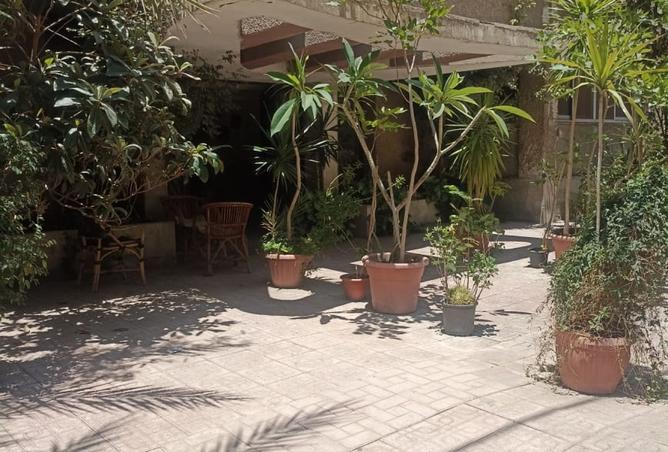 93804534 - صورة العقار 2