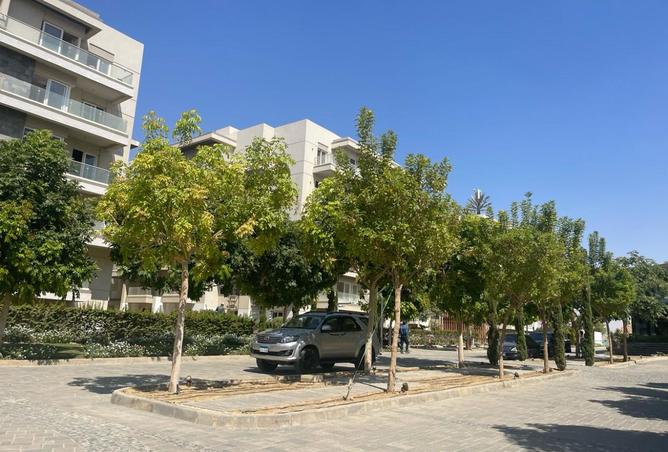105156527 - صورة العقار 2