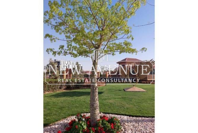 8672437 - صورة العقار 3