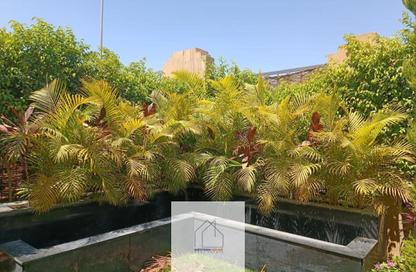 Villa - 4 Bedrooms - 5 Bathrooms for sale in Alma - 2nd District - Sheikh Zayed City - Giza