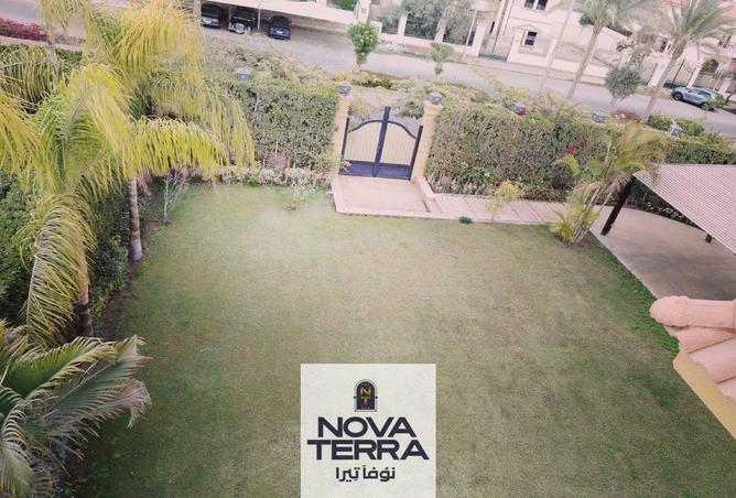 68785619 - صورة العقار 3