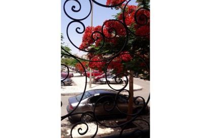 Apartment - 2 Bedrooms - 1 Bathroom for sale in Al Imam El Shafei St. - Rehab City Second Phase - Al Rehab - New Cairo City - Cairo