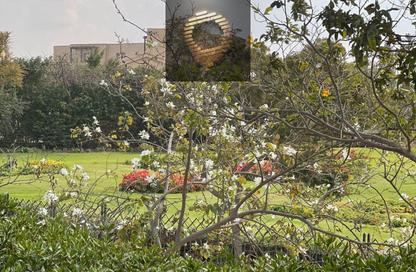 Villa - 5 Bedrooms - 4 Bathrooms for sale in Privado - Madinaty - Cairo Villa - 5 Bedrooms - 4 Bathrooms for sale in Privado - Madinaty - Cairo