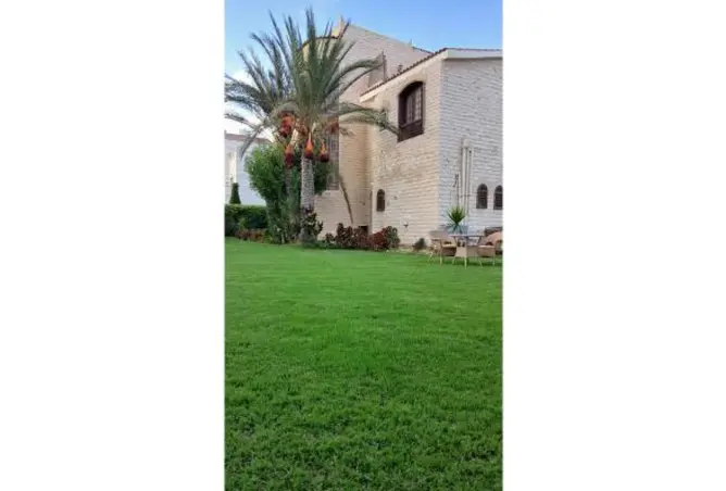 121653594 - صورة العقار 3