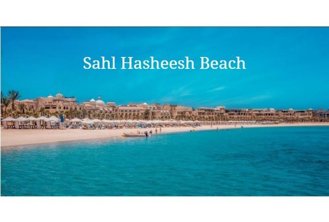 8558542 - الصورة الرئيسية للعقار