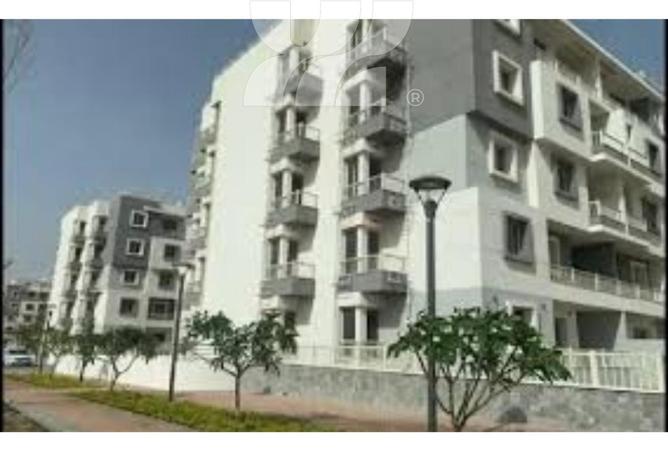 74027431 - Property Image 3