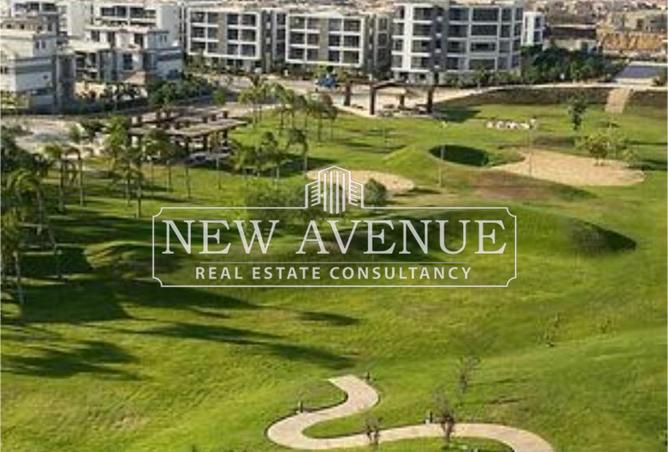 54238479 - Property Image 2