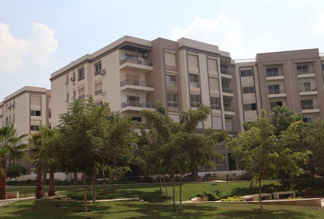 67737195 - Property Image 2