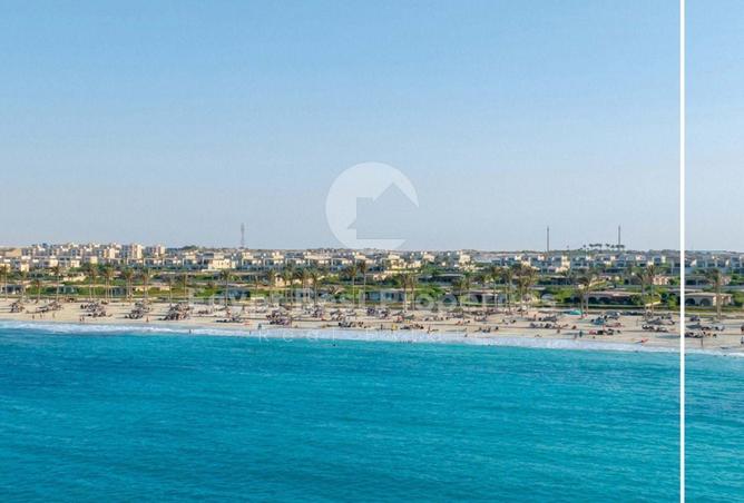 81315424 - صورة العقار 3